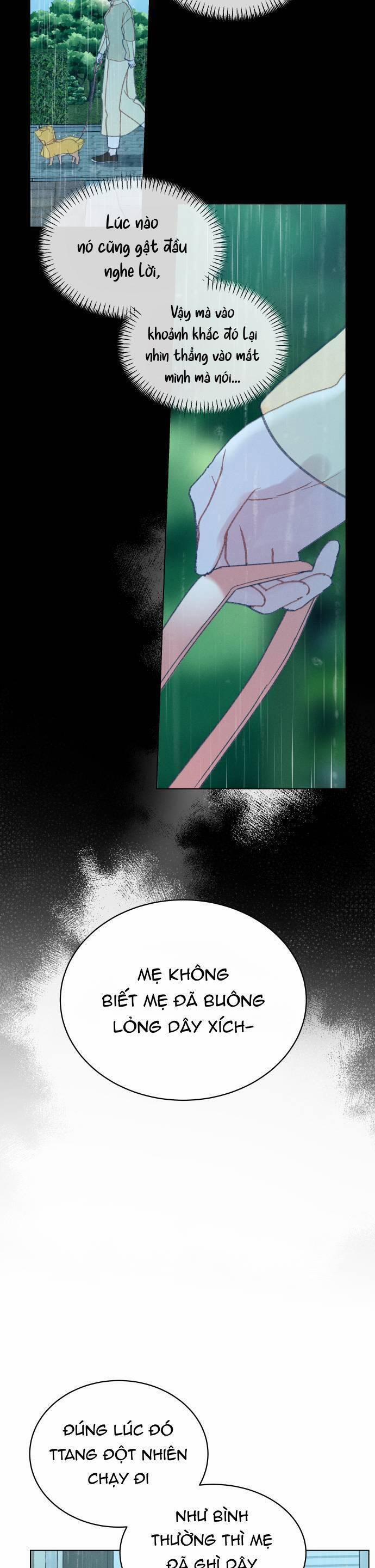 Bầu Trời Mùa Hạ Dấu Yêu 34 trang 14