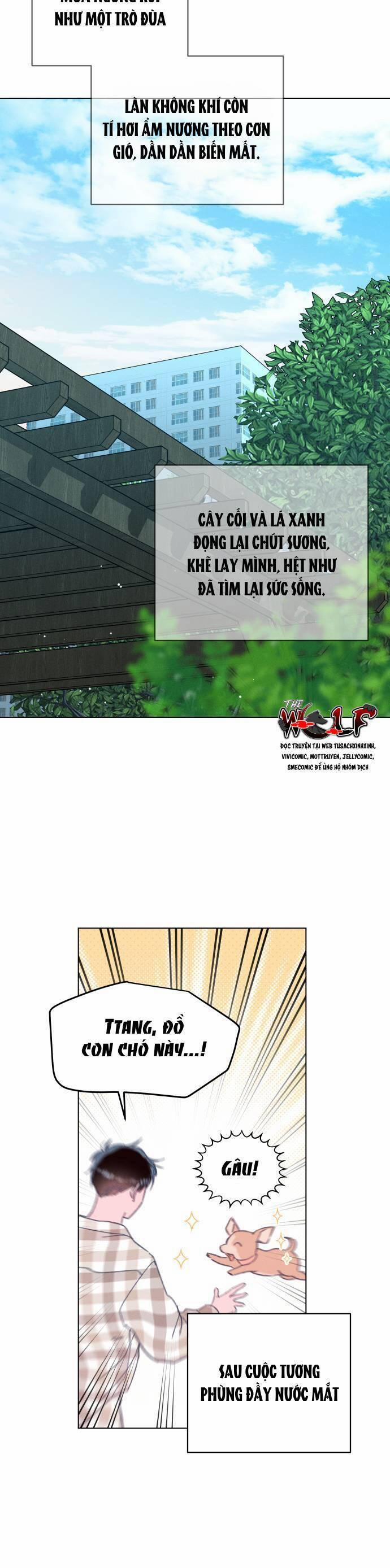 Bầu Trời Mùa Hạ Dấu Yêu 34 trang 43