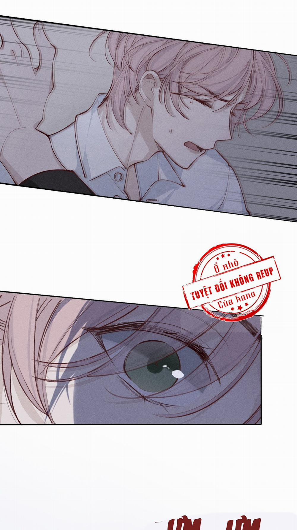 Báu Vật Chia Đôi 21 trang 29