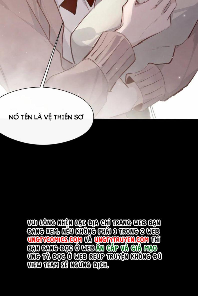 Báu Vật Chia Đôi 48 trang 23