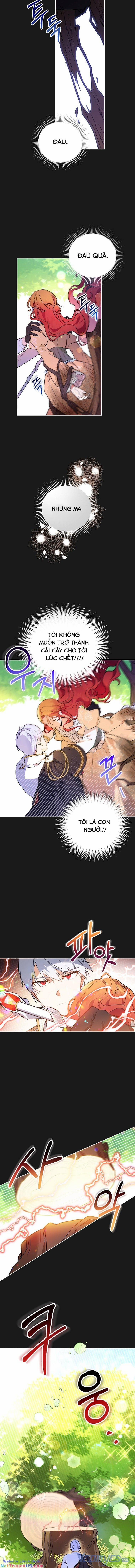 Bé Con Chốn Hoa Nở 1 trang 8