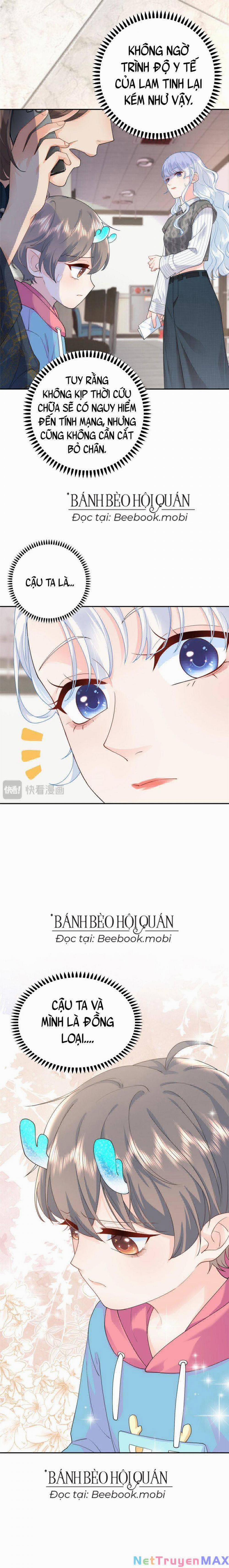 Bé Rồng Đột Kích! Mami Vừa Cay Vừa Độc 2 trang 15