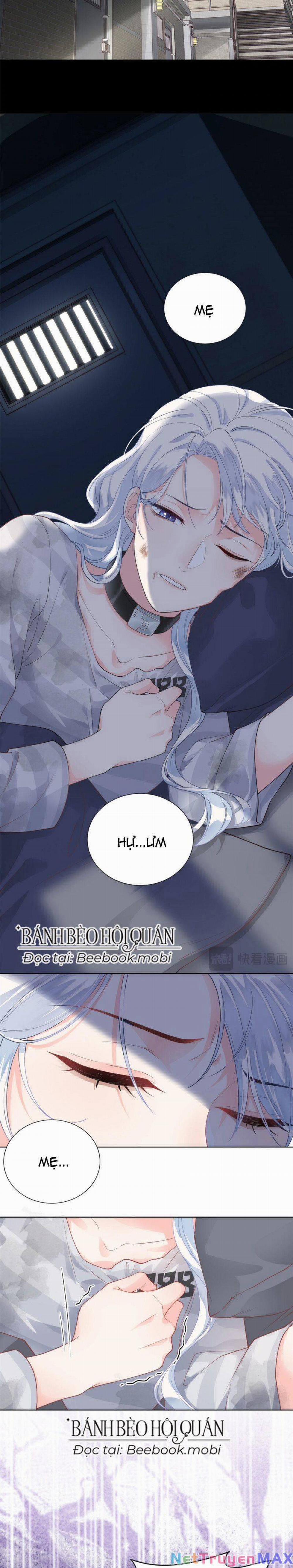 Bé Rồng Đột Kích! Mami Vừa Cay Vừa Độc 2 trang 3