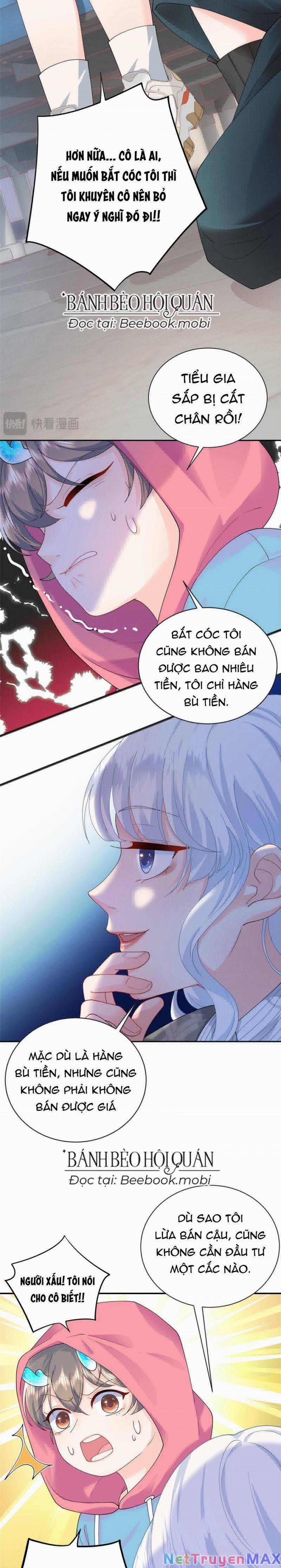 Bé Rồng Đột Kích! Mami Vừa Cay Vừa Độc 3 trang 8