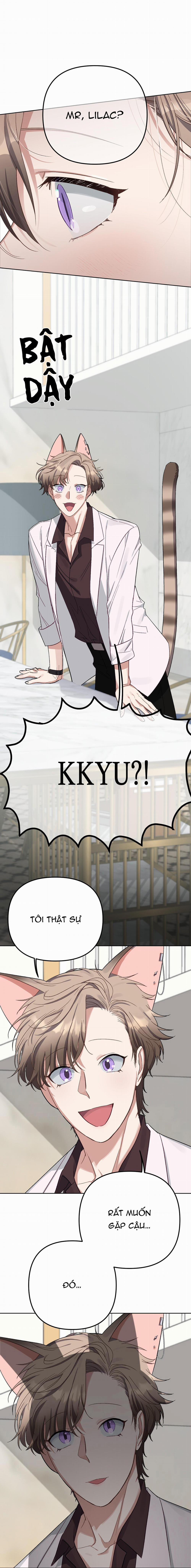 “Bé” Thỏ xuất tinh trong 3s 1 trang 103