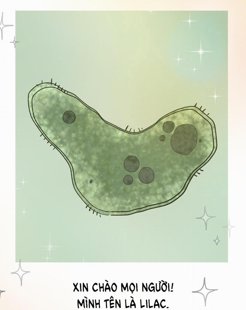 “Bé” Thỏ xuất tinh trong 3s 1 trang 54