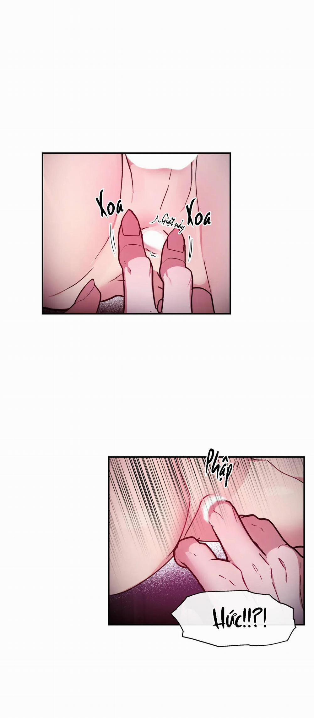 Bên Trong Lâu Đài 11 trang 2