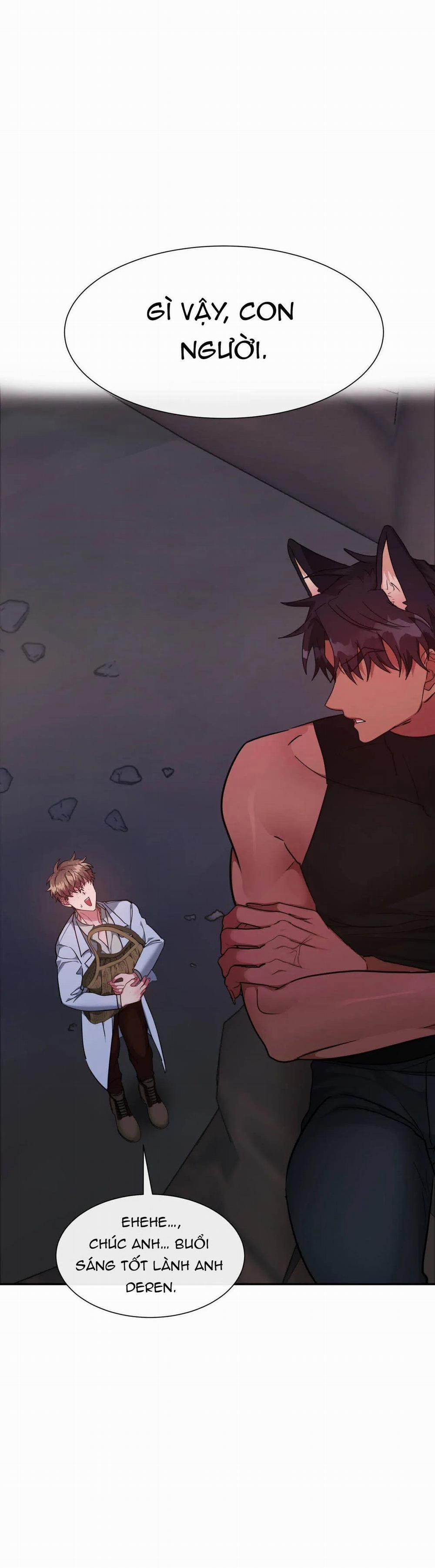 Bên Trong Lâu Đài 14 trang 7