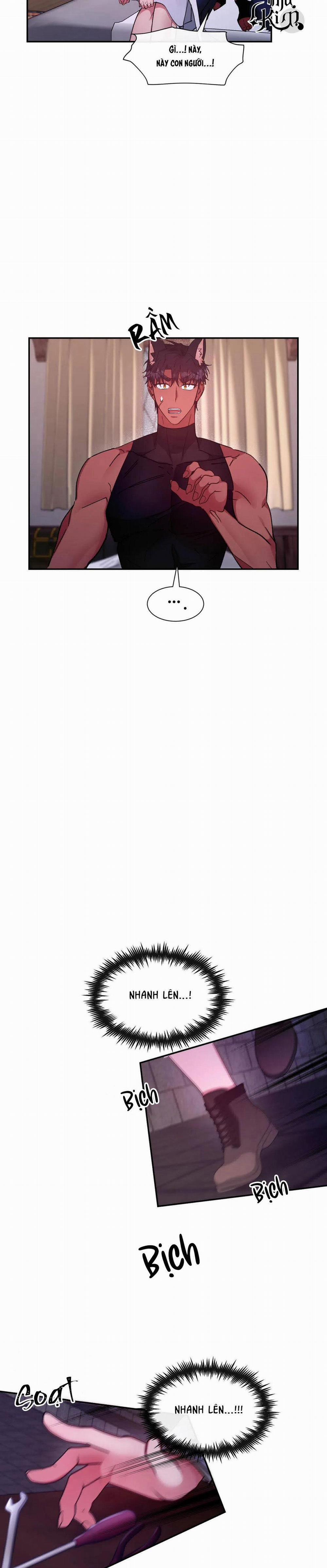 Bên Trong Lâu Đài 18 trang 13