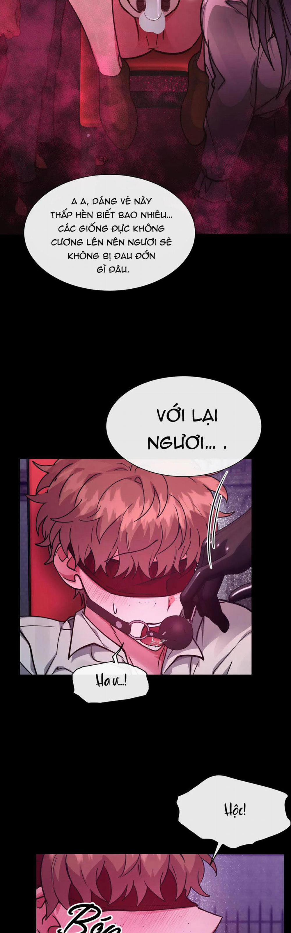 Bên Trong Lâu Đài 23 trang 17
