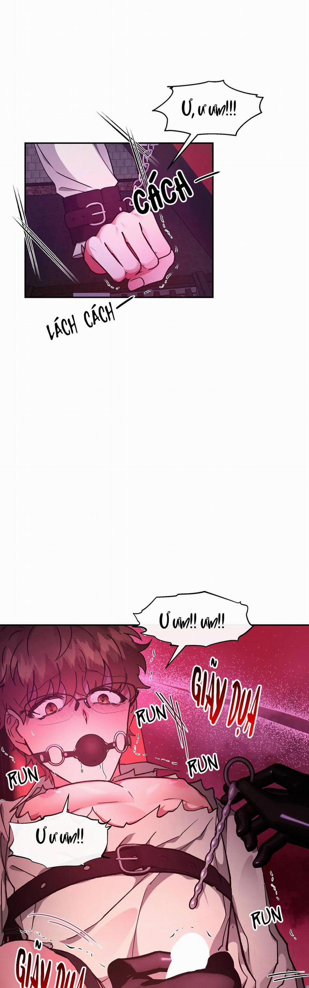 Bên Trong Lâu Đài 23 trang 4