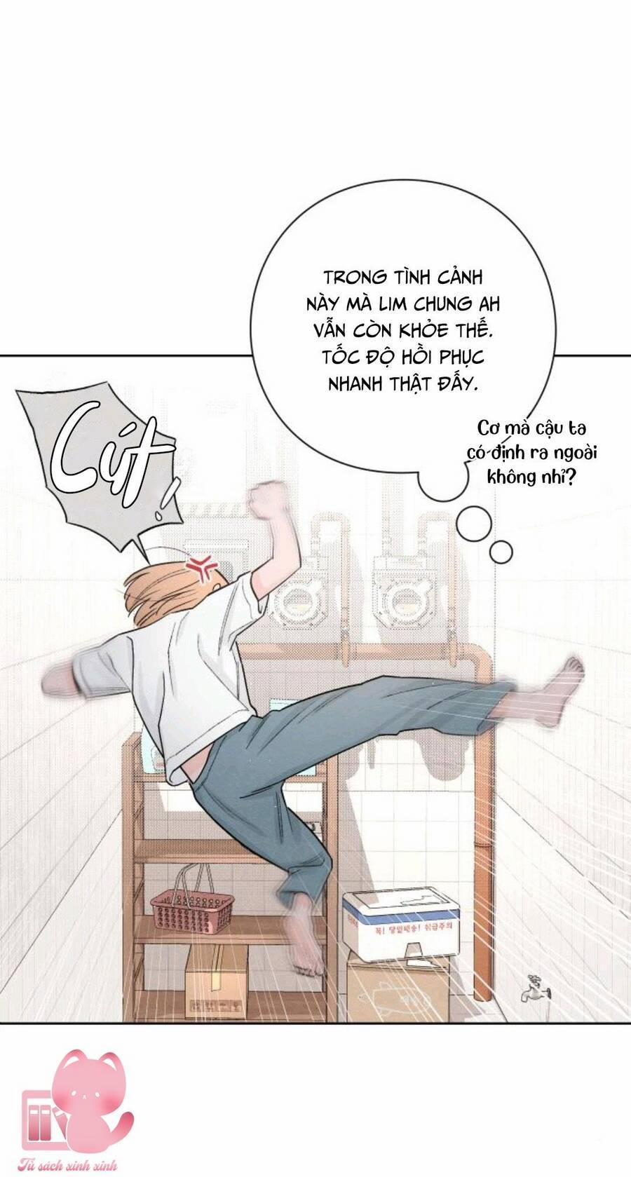 Bí Mật Thanh Xuân 20 trang 11