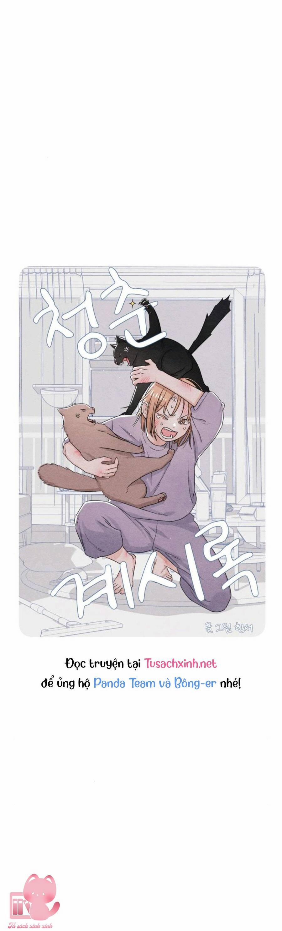 Bí Mật Thanh Xuân 28 trang 19