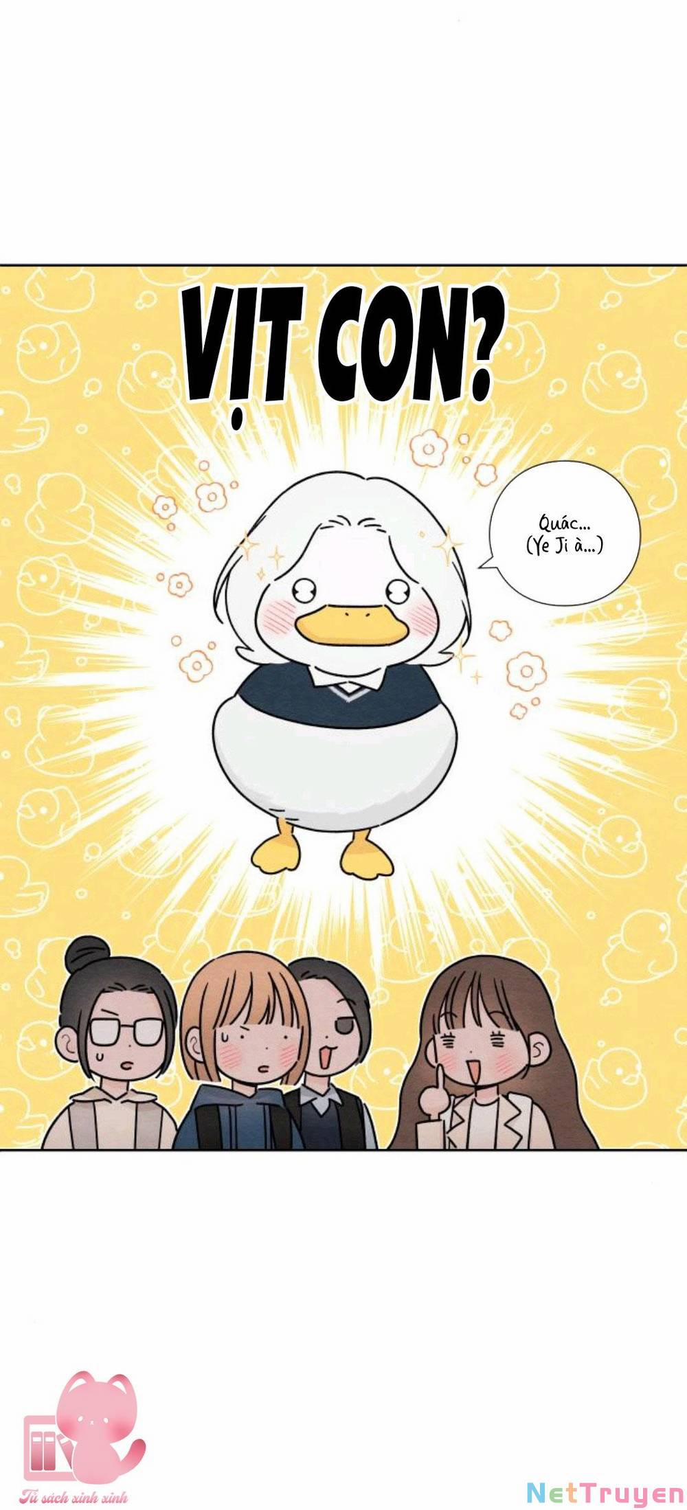 Bí Mật Thanh Xuân 33 trang 13