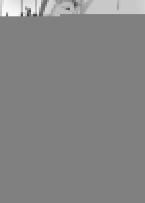 Biểu Diện Quan Hệ Nam Đoàn 23 trang 1