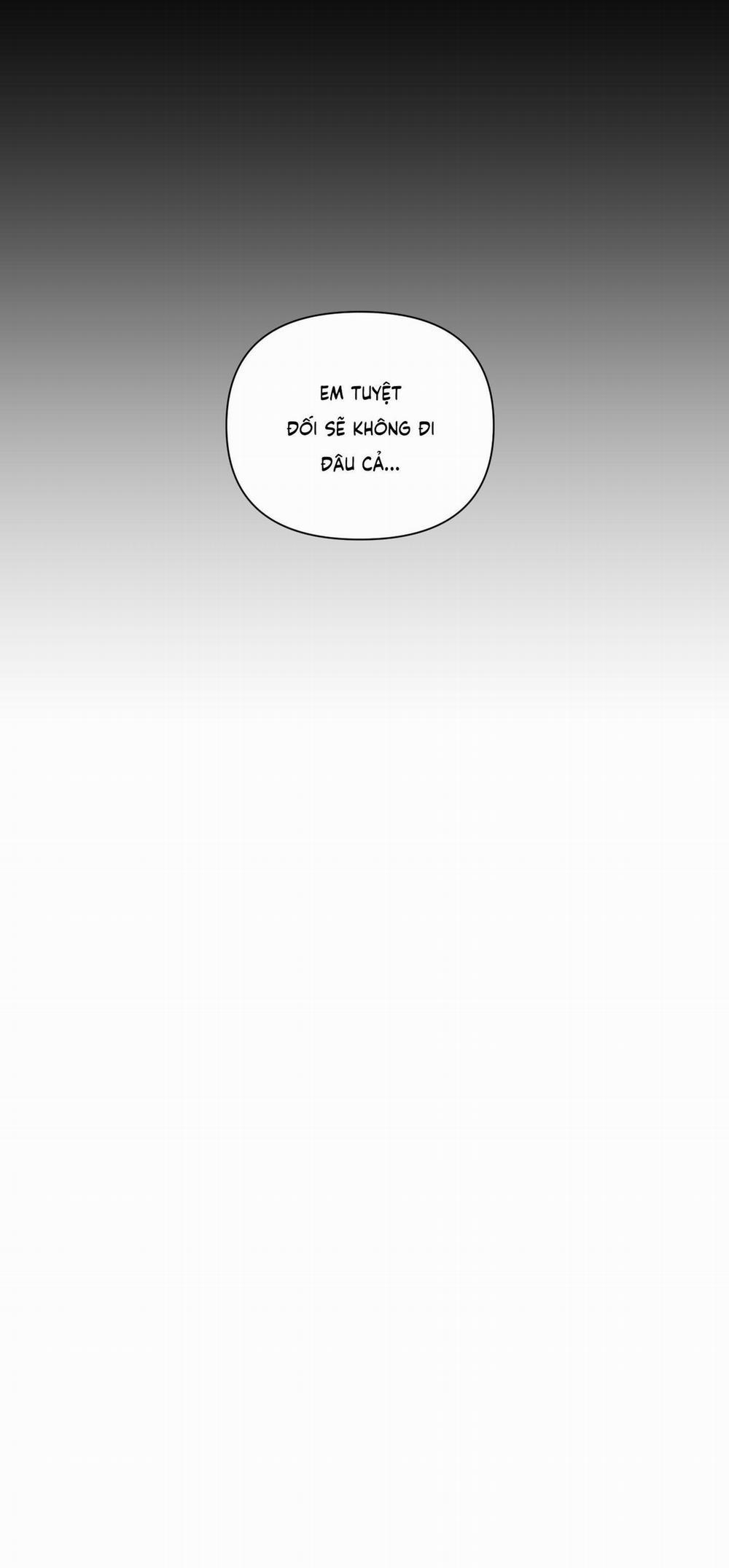 BÌNH MINH CHIA CẮT BÓNG ĐÊM 40 trang 5