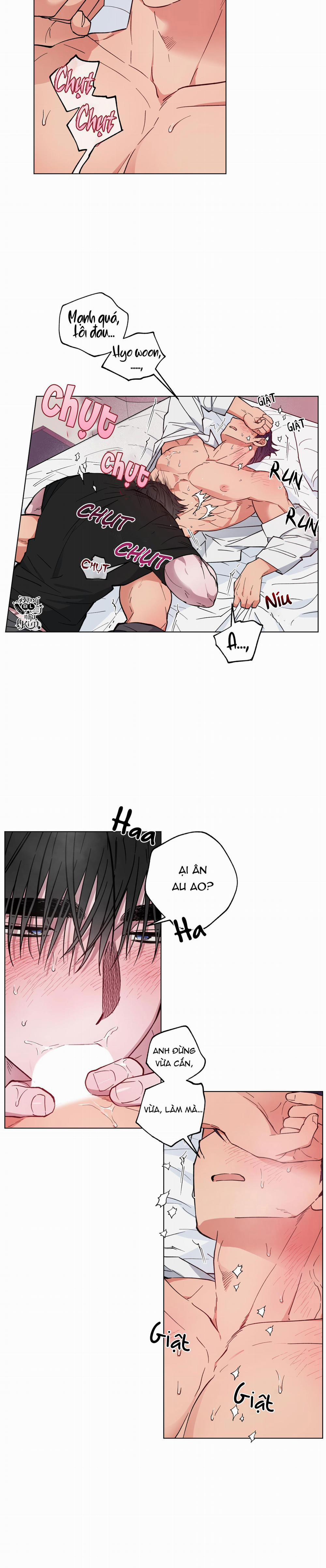 Bình Minh Của Rồng 12 trang 16