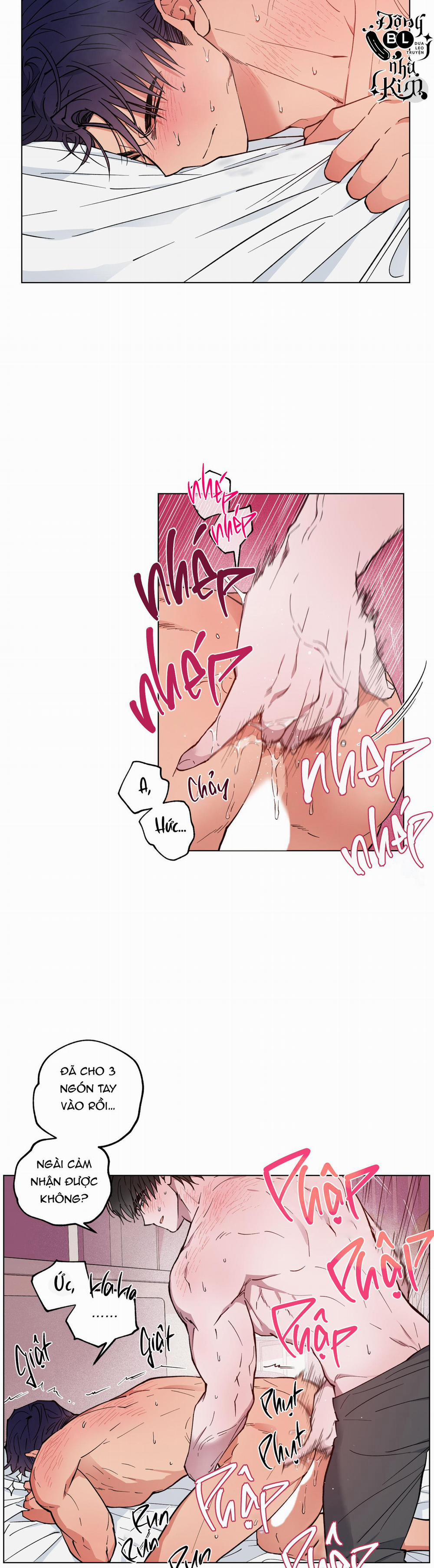 Bình Minh Của Rồng 13 trang 2