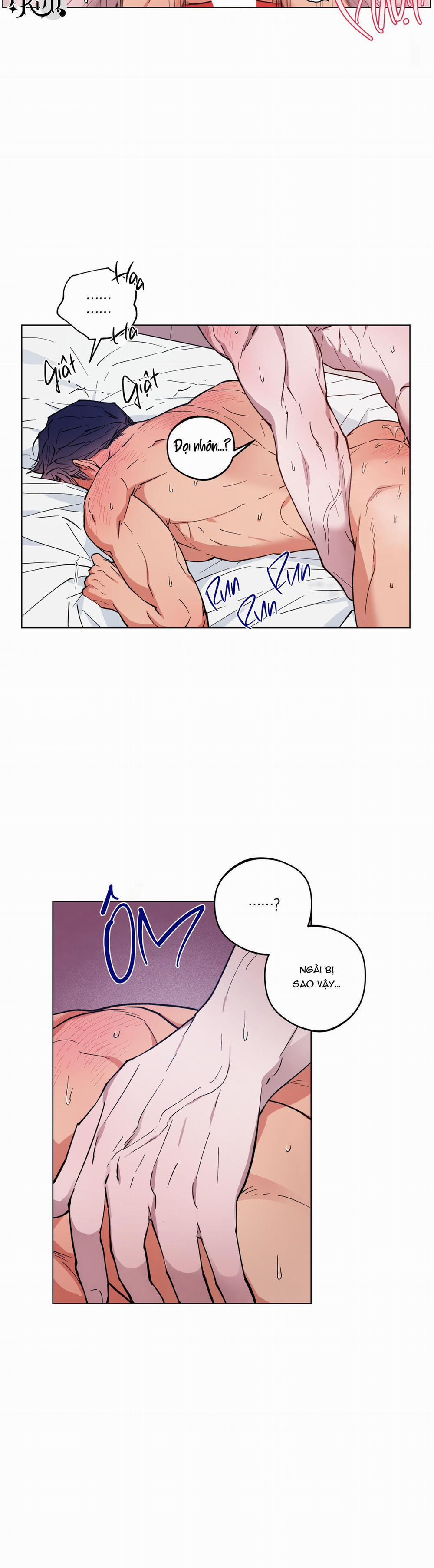 Bình Minh Của Rồng 13 trang 8