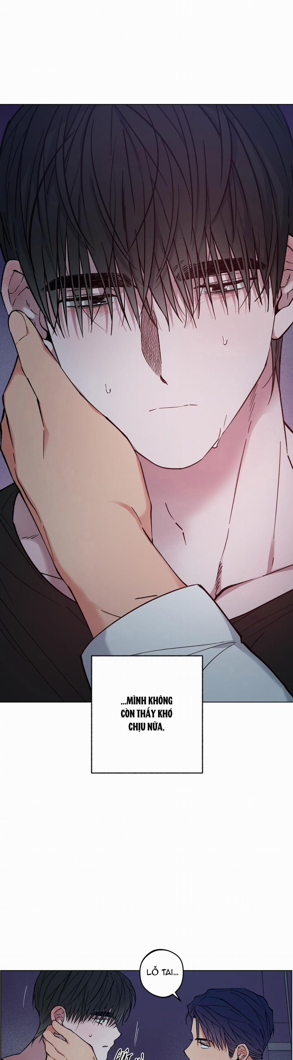 Bình Minh Của Rồng 16 trang 5