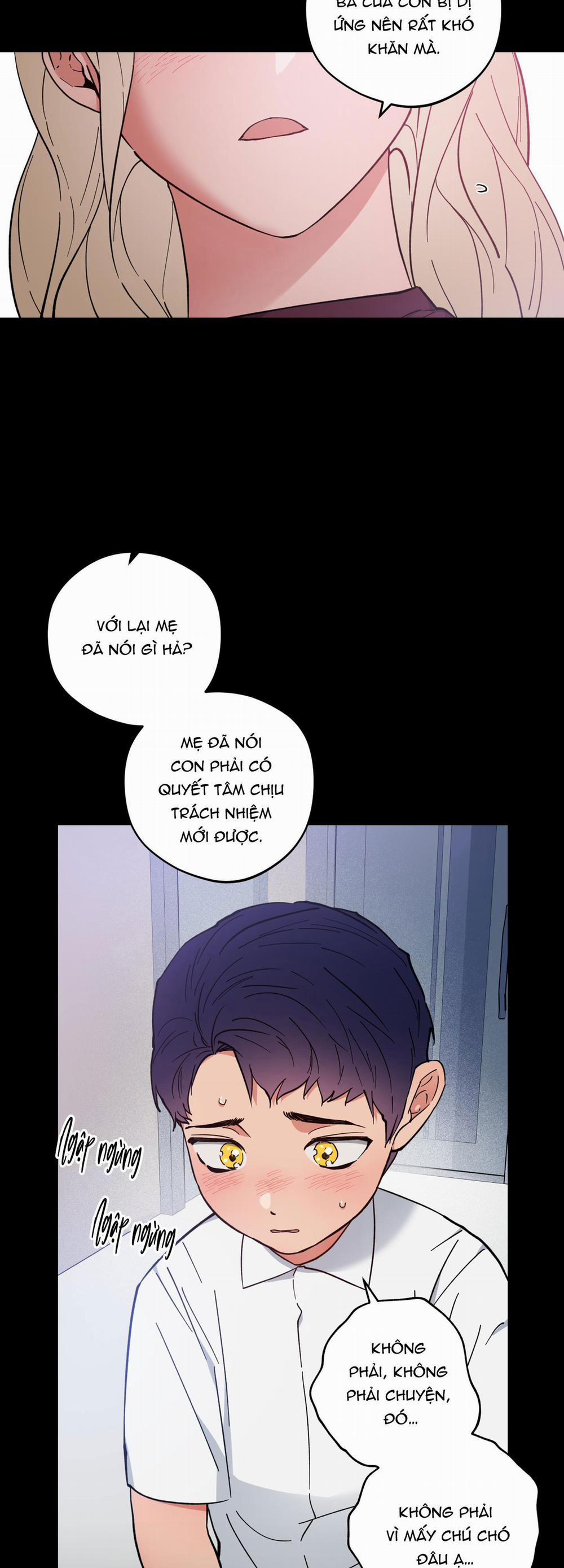 Bình Minh Của Rồng 26 trang 1