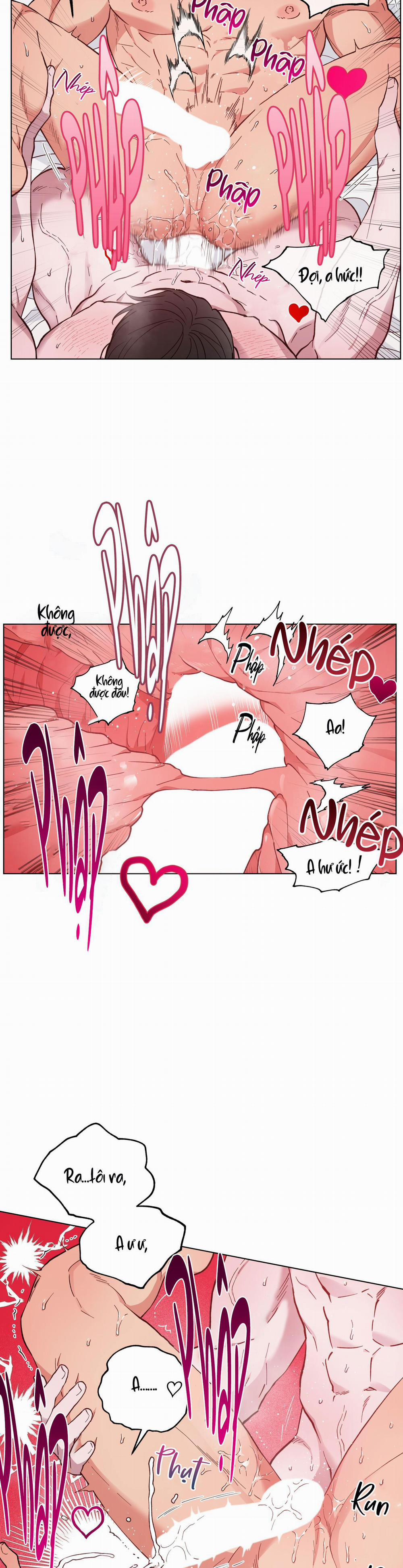 Bình Minh Của Rồng 28 trang 7