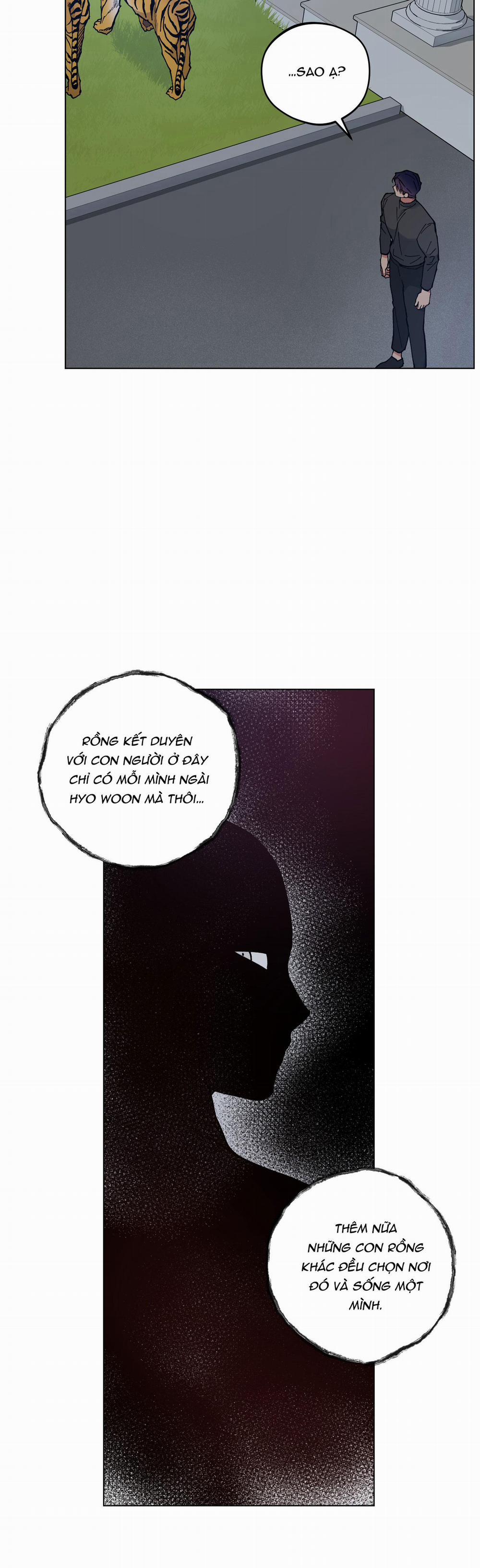 Bình Minh Của Rồng 31 trang 27