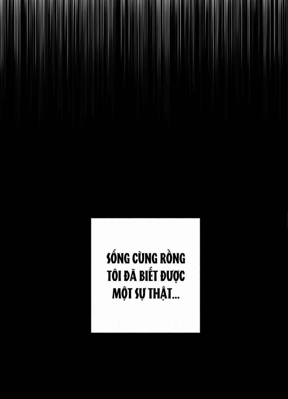 Bình Minh Của Rồng 5 trang 37