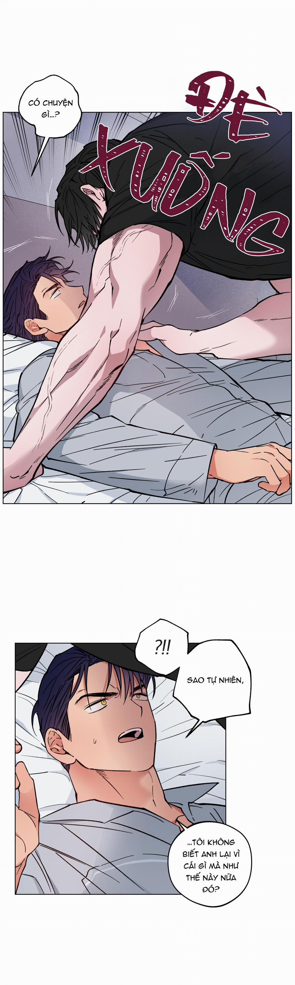 Bình Minh Của Rồng 6 trang 26