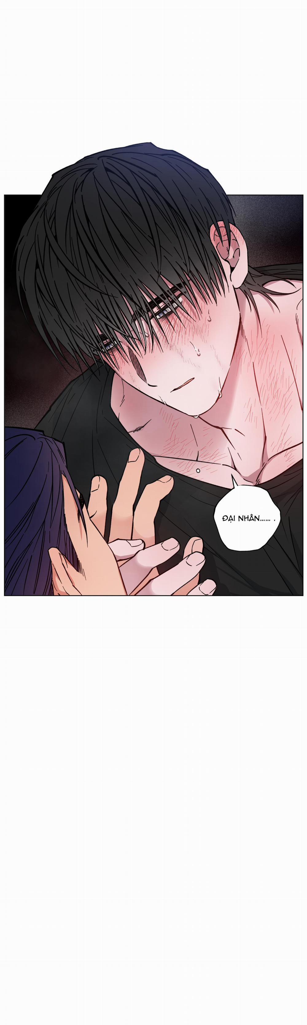 Bình Minh Của Rồng 7 trang 1