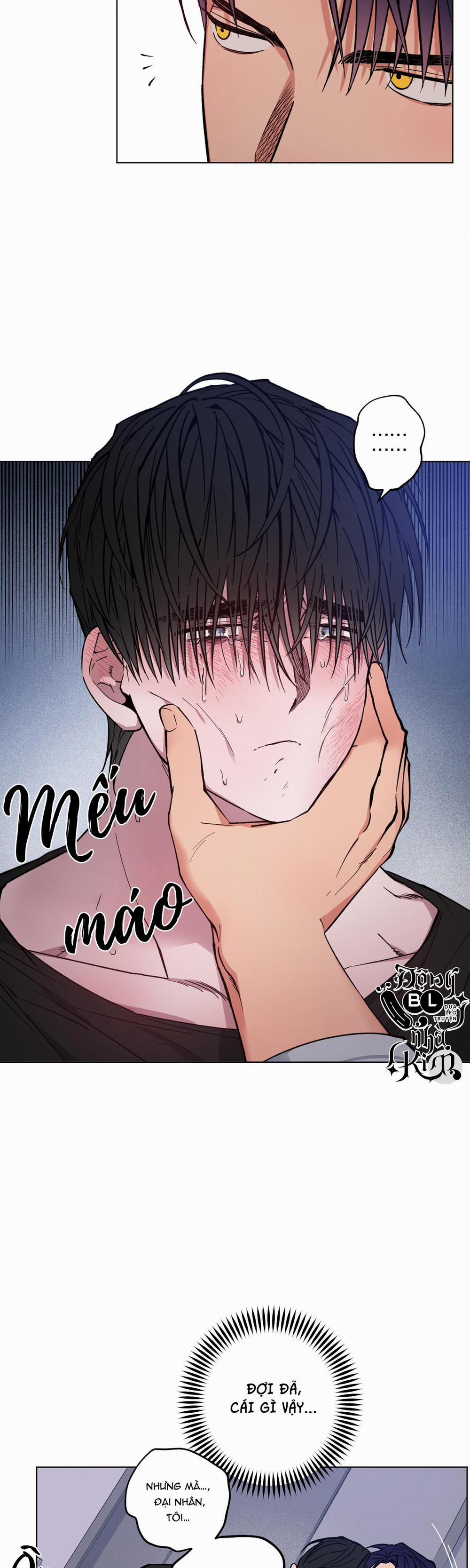 Bình Minh Của Rồng 7 trang 13