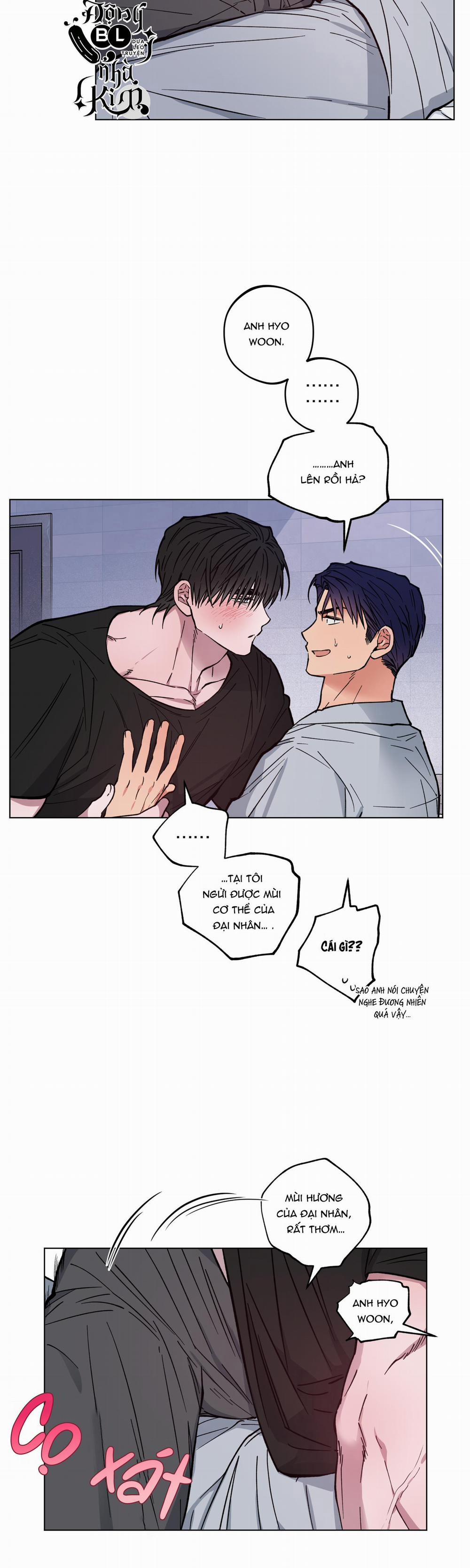 Bình Minh Của Rồng 7 trang 19