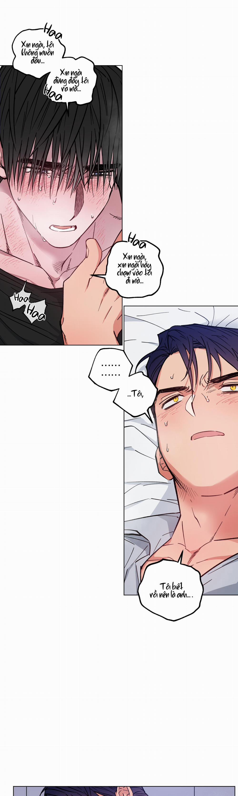 Bình Minh Của Rồng 7 trang 22