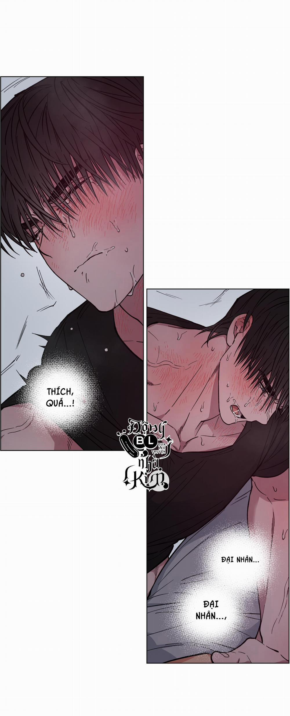 Bình Minh Của Rồng 8 trang 30