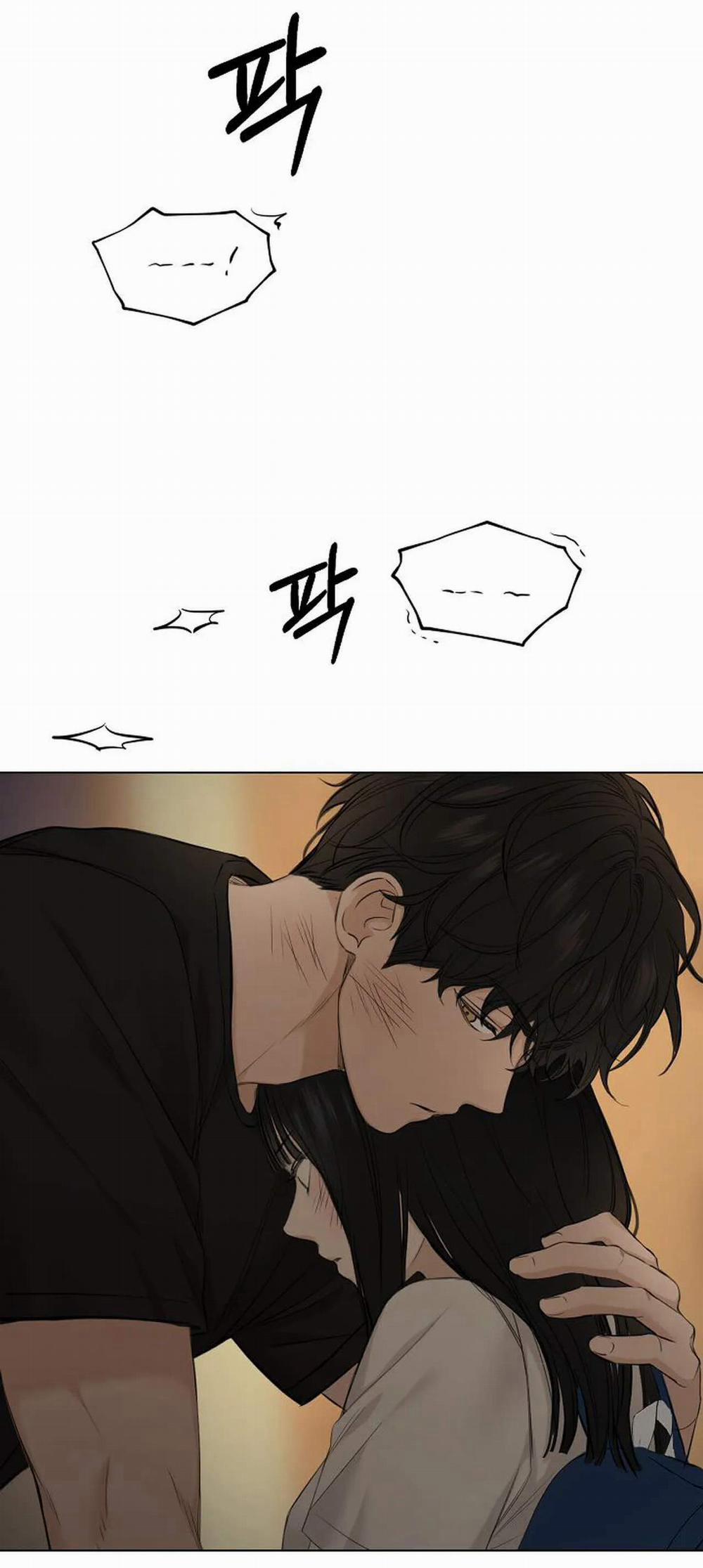 Bình Minh 11.1 trang 5