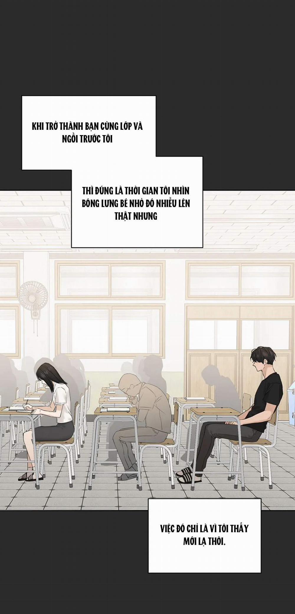 Bình Minh 12.2 trang 37