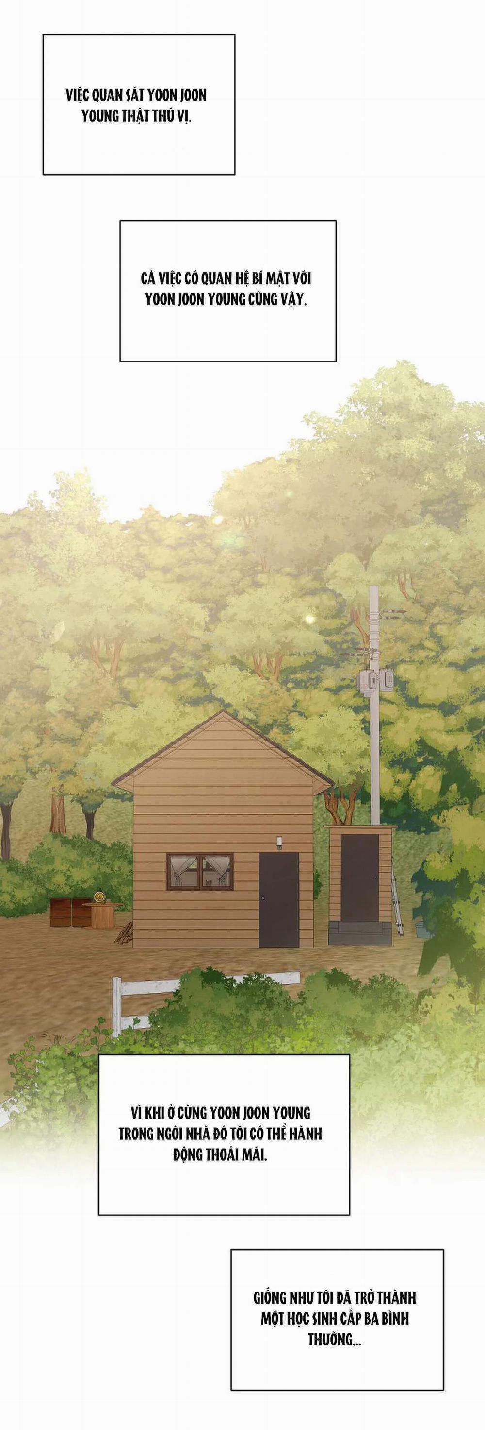 Bình Minh 12.2 trang 53