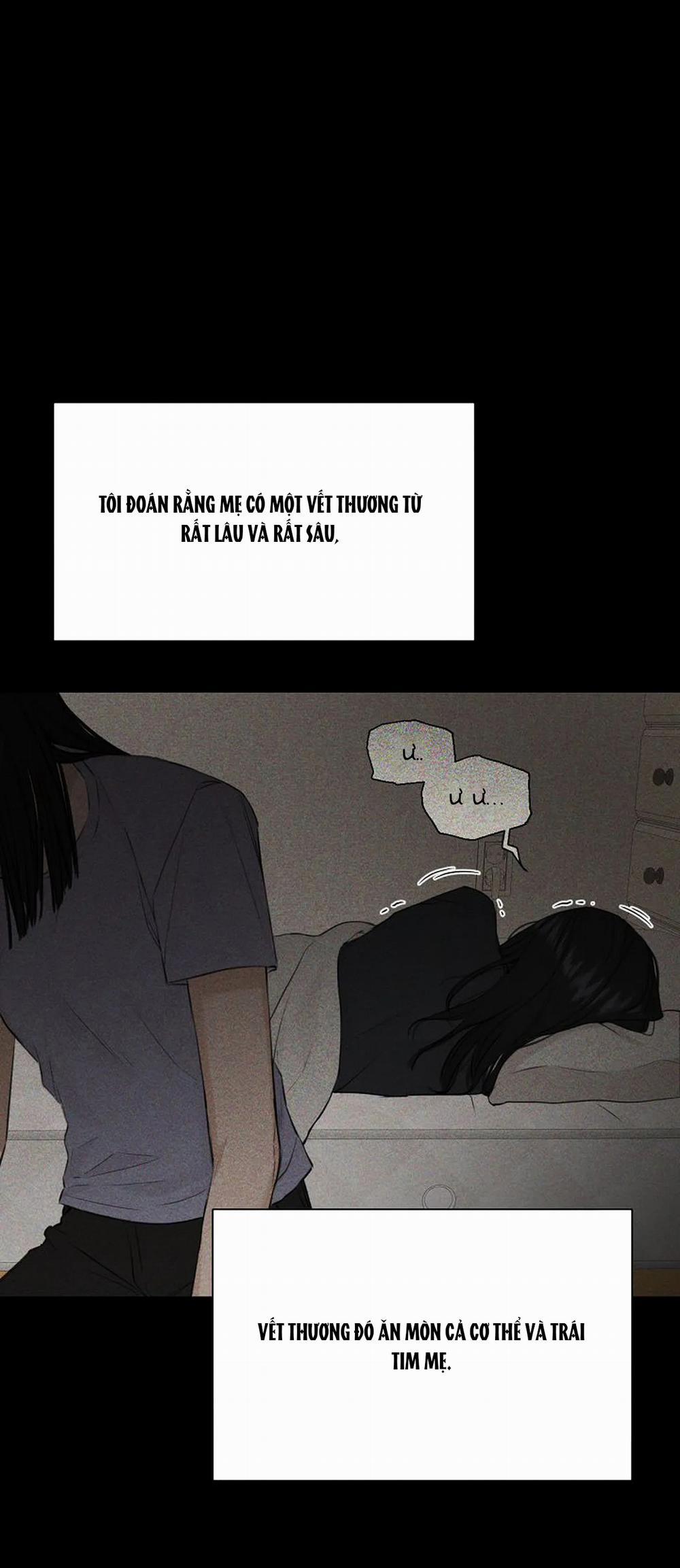 Bình Minh 8.1 trang 18