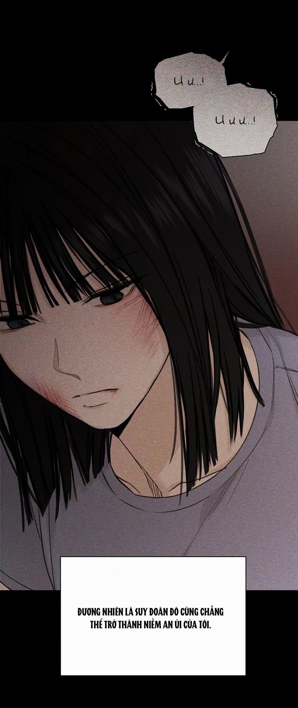 Bình Minh 8.1 trang 19