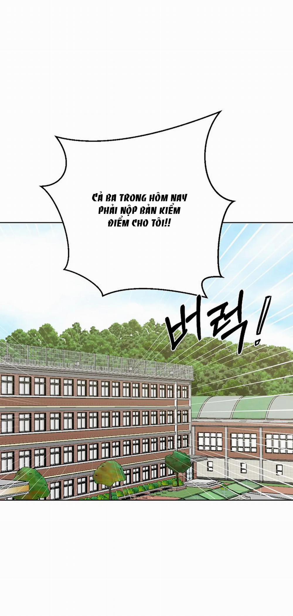 Bình Minh 8.2 trang 19