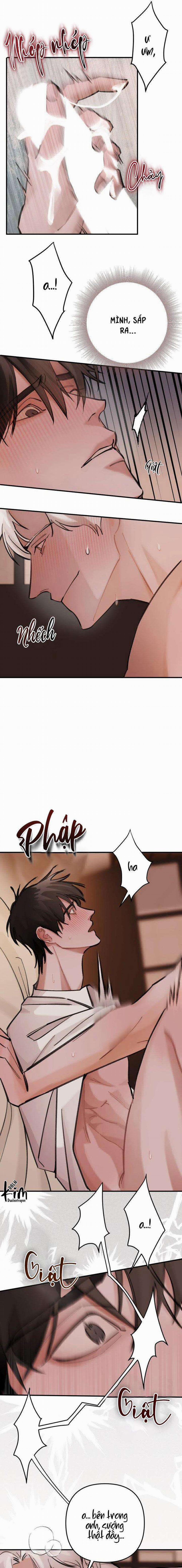 BL NGẮN CHỊCH HỎNY 0.0 SPOT LANDING 2 trang 5