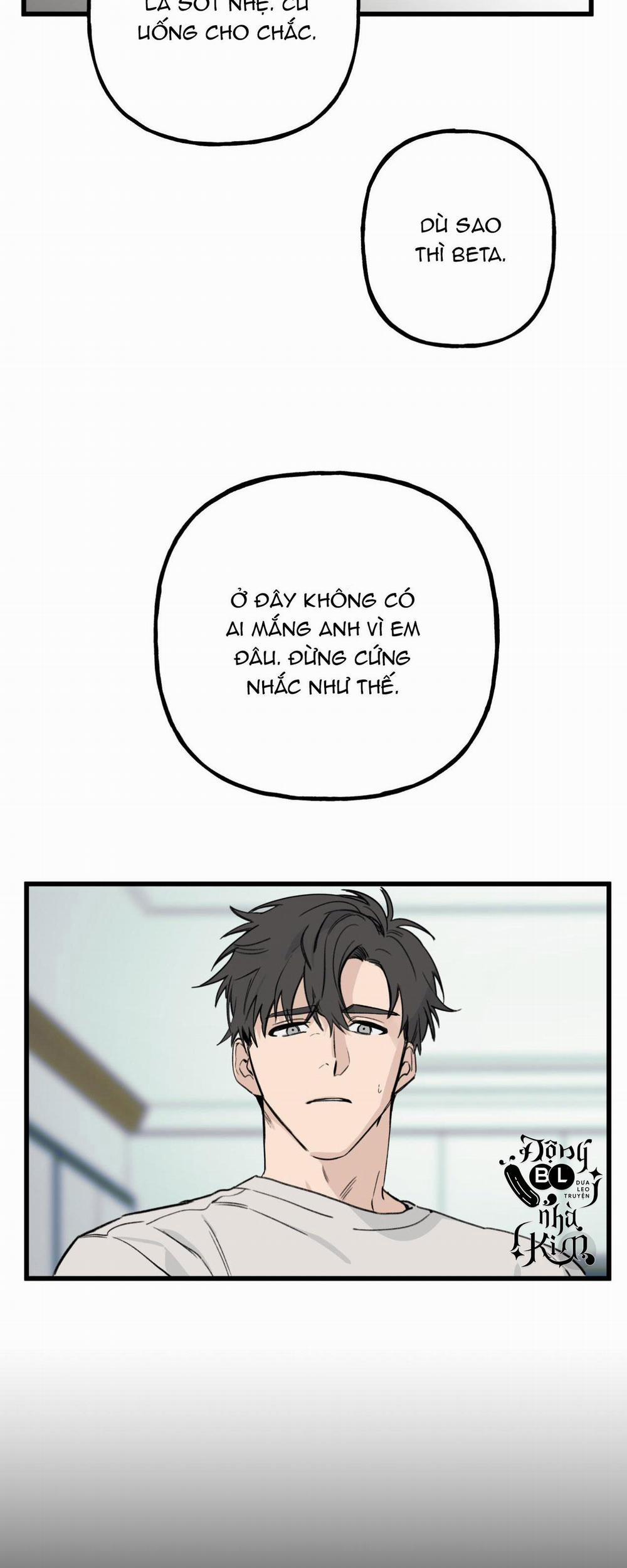 BL NGẮN CHỊCH HỎNY 1.1 trang 31