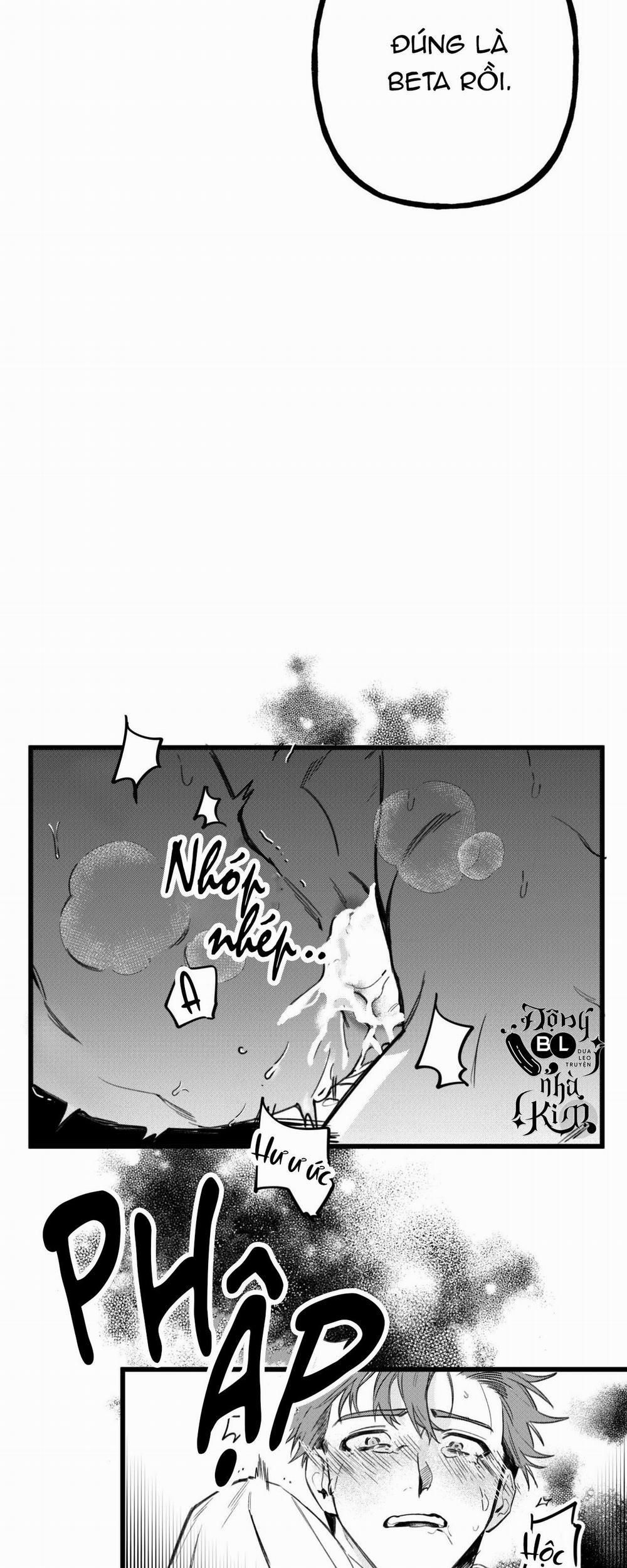 BL NGẮN CHỊCH HỎNY 1.1 trang 5