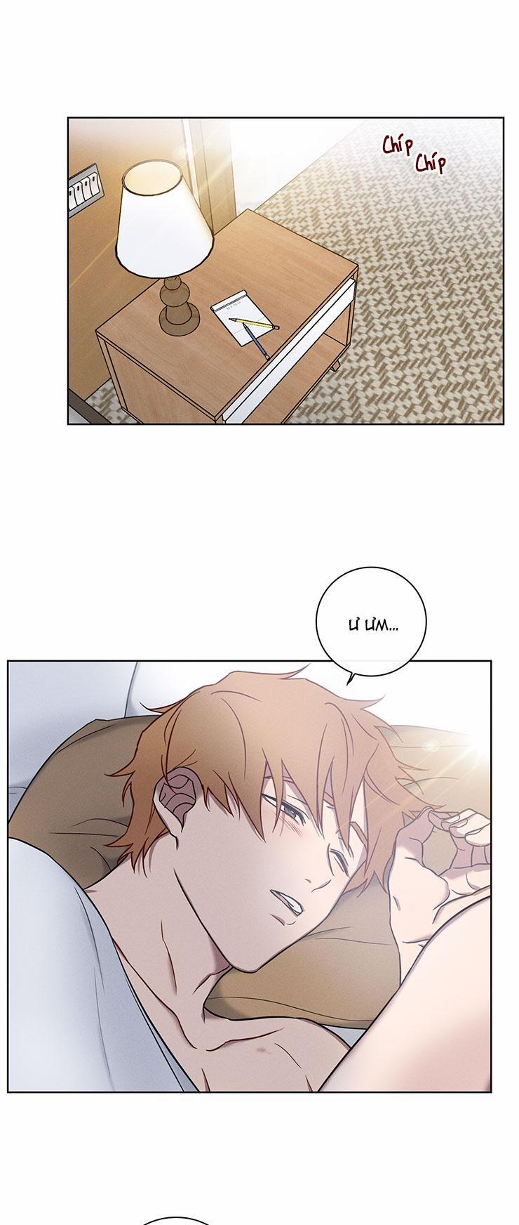 BL NGẮN CHỊCH HỎNY 3.3 TAM GIÁC 0.0 trang 11