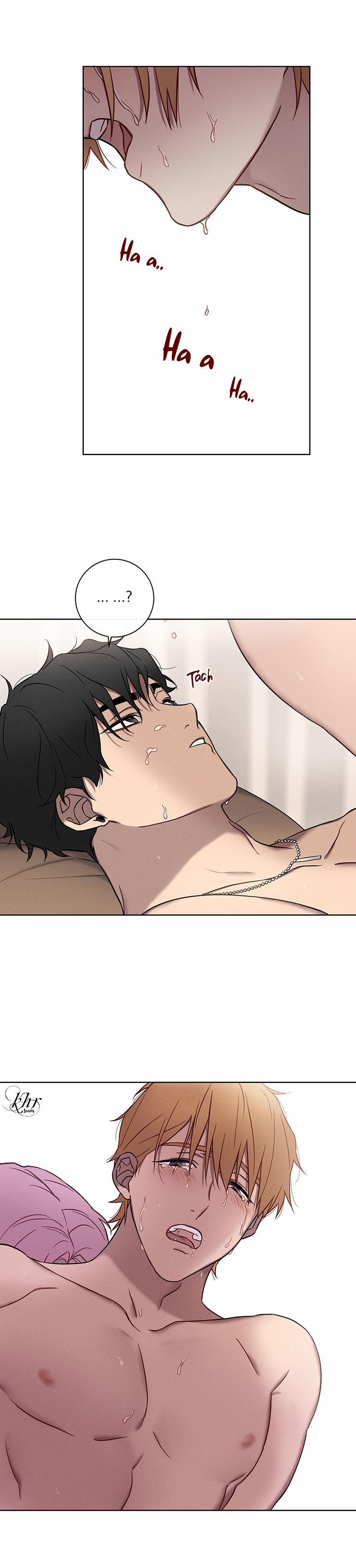 BL NGẮN CHỊCH HỎNY 3.3 TAM GIÁC 0.0 trang 3