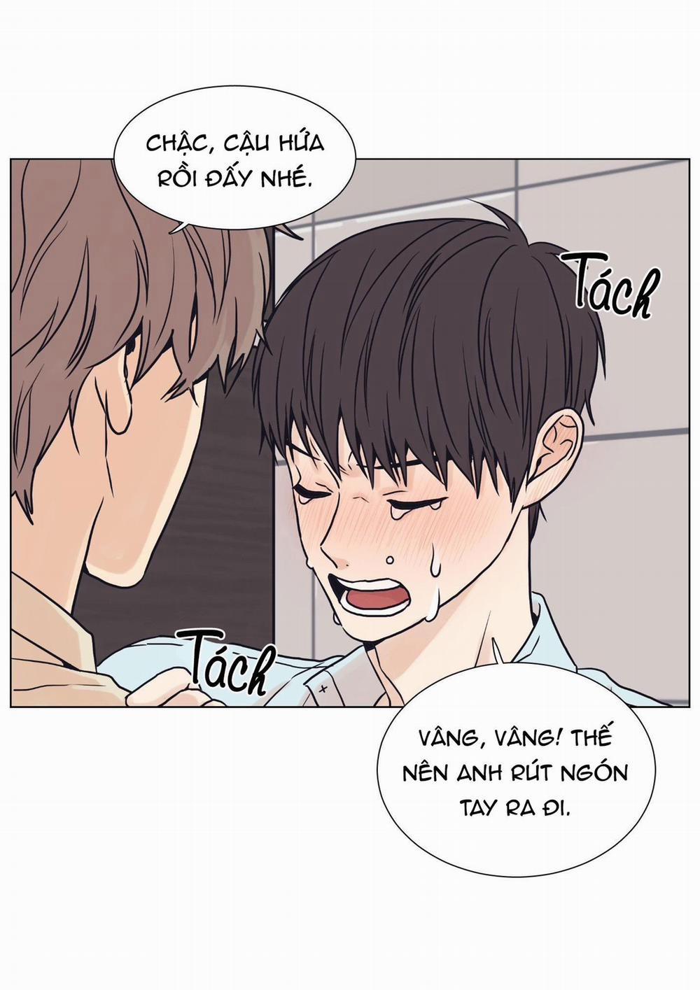 BL NGẮN CHỊCH HỎNY 4.4 trang 4