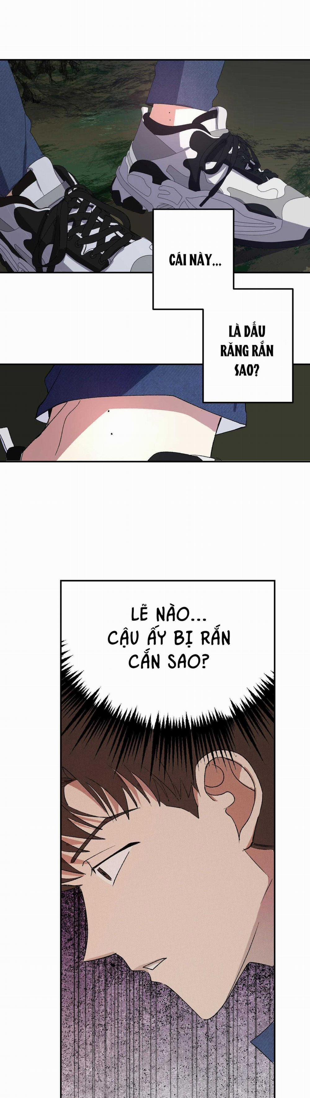 BL NGẮN CHỊCH HỎNY 46.8 trang 13