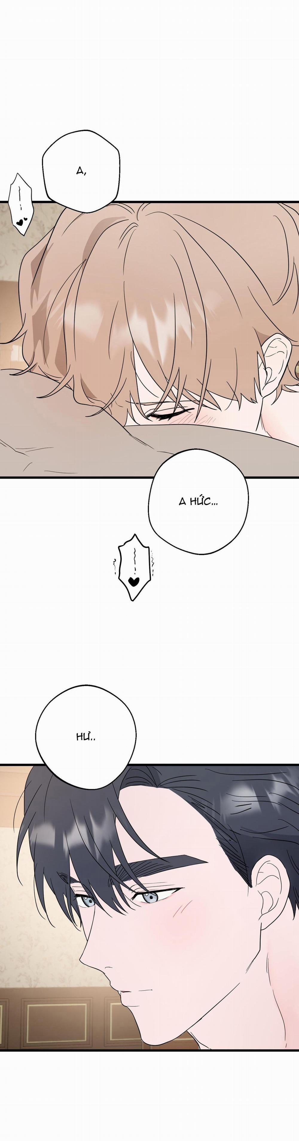 BL NGẮN CHỊCH HỎNY 47.6 khách hàng end trang 11