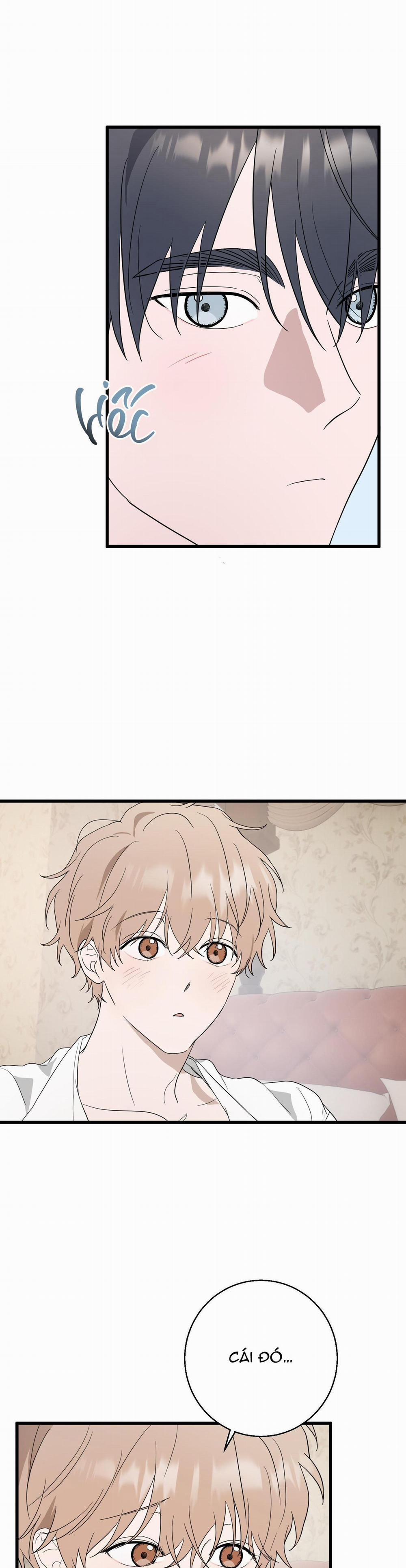 BL NGẮN CHỊCH HỎNY 47.6 khách hàng end trang 24