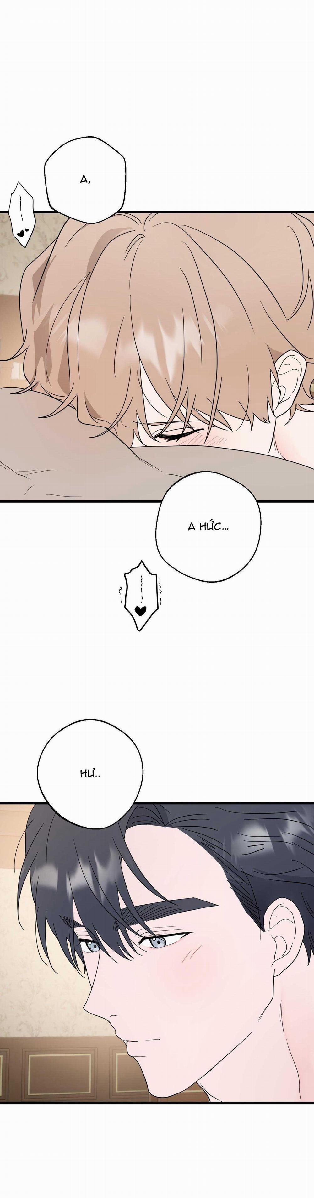 BL NGẮN CHỊCH HỎNY 47.6 trang 11